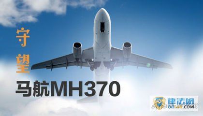 ʧMH370ɻȥˣո߹ٸ˴𰸡Ϣˣ