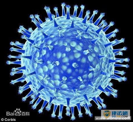 ȷһH5N1Ⱦ H5N1ϼ