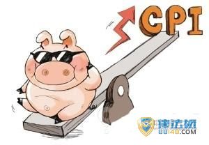 ۸CPIΪйҪǷ