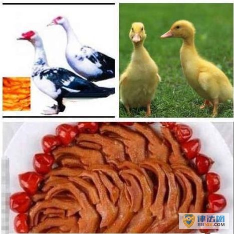 ϵ йʮ ̵йʮ йʮ˶ʲô