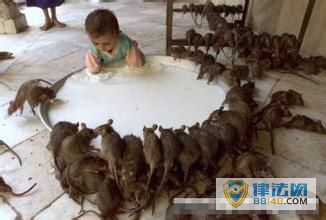 ��������������ʵԭ�� ���������������¼� ��ɫ�籩���ѩ��