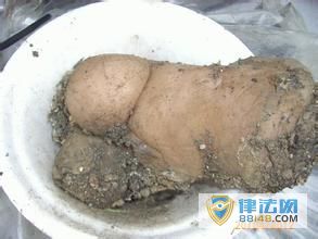 ̫����ʲô���� ̫����ʲô���� ̫����ʲô�۸� 