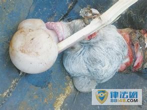 ̫����ʲô���� ̫����ʲô���� ̫����ʲô�۸� 