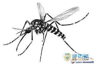 �������ó�ʲô���� �ж���������ʲô�ص� ����������ʲô 