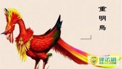 ϹĴ ϹĴ ϹĴ޴˵