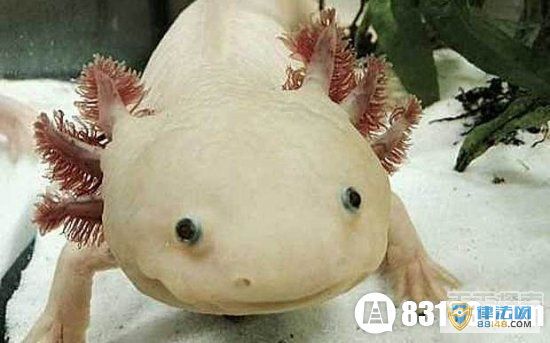 15ֹ龫ֵĶ ǺͼƬ 