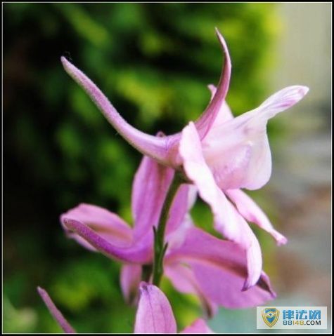 ��������Ļ���ʲô�� ��������Ļ�����