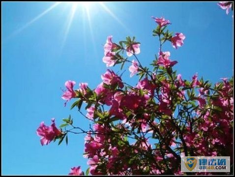��������Ļ���ʲô�� ��������Ļ�����