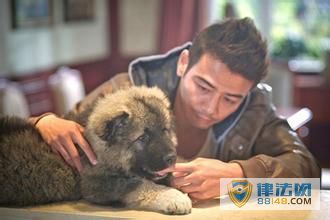 ˸ڻǧ˭ ˸ ˸ʵеƬ