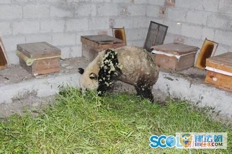 Ұèڷ䳡͵Էʮ ֻԻ̫ɰ