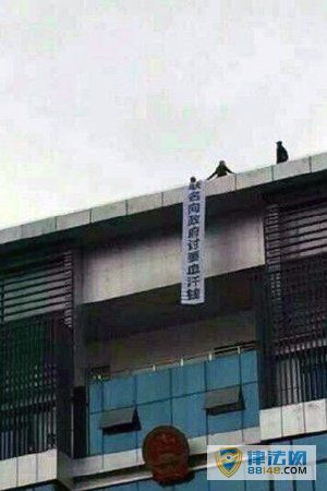 ĴΪнʩѹ ¥н