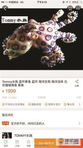 綾 ֻ輸 ޿Ѫ屻Ϊ