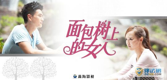 ϵŮ˾飨1 