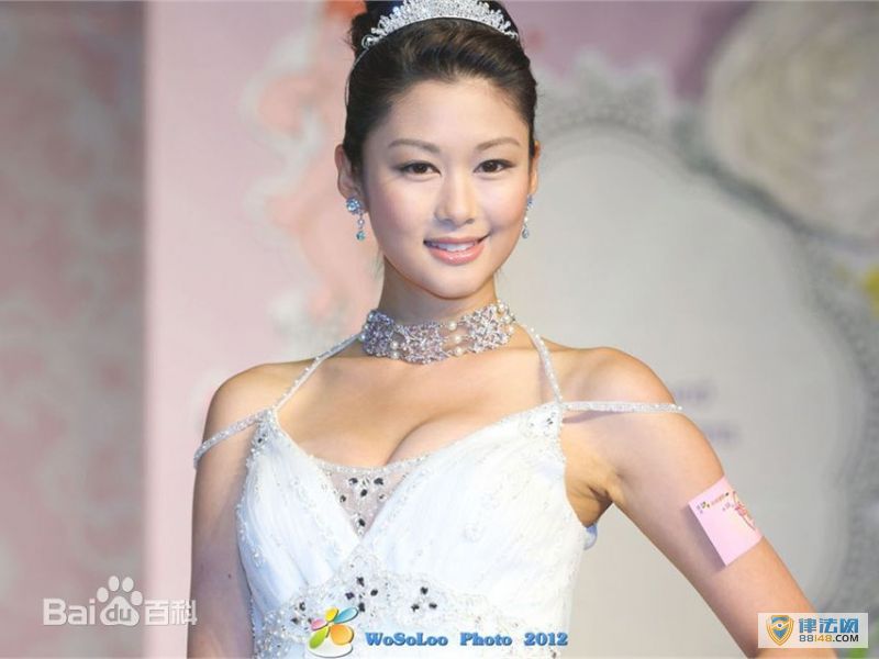 火线下的江湖大佬何宽心扮演者岑丽香个人资料 岑丽香演过的电视剧 火线下的江湖大佬何宽心扮演者岑丽香个人资料 岑丽香演过的电视剧