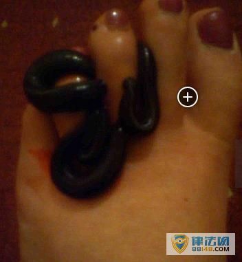 女子让水蛭爬满全身“排毒” 称能减肥提高性欲 女子让水蛭爬满全身“排毒” 称能减肥提高性欲