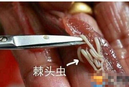 [Ůȡ]Ůҽؿζ˷ʽʫʫžѪ ҩ