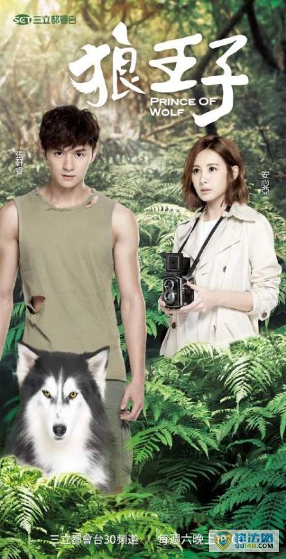 Ӿ硶ӡ ݹĵӾ