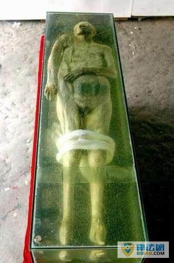ƺ͸ײ¼ ƺ͸ײ ƺ͸ײĽͼ ƺӹ׵Ĳ