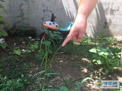 ˳ֳ쳣ɫ ȥȷϱ¶ û뵽Ȼɷ¶