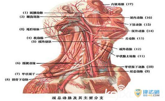 [кŮǺɥ]Ŀ죡17кŮǺɥ Ѫ˨з