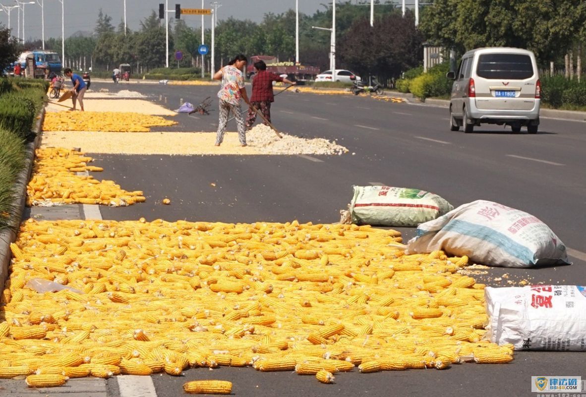 ʱڹ·ȳ 