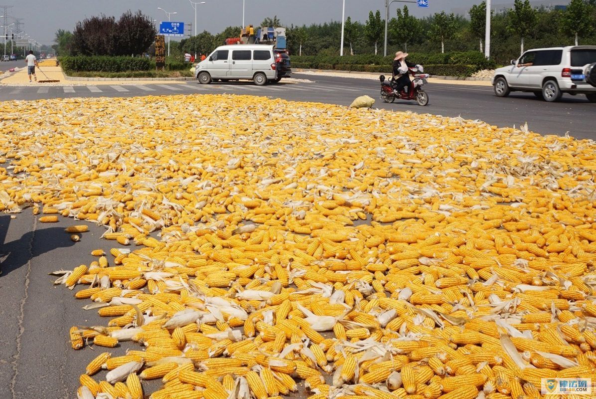 ʱڹ·ȳ 