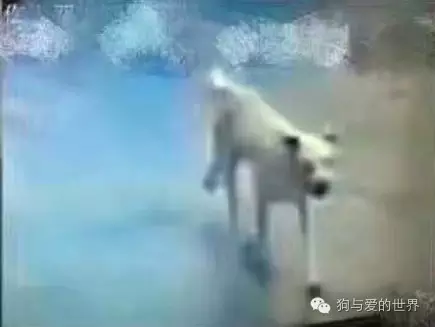 蹷ҧ30ˣ׷ɱȴ...