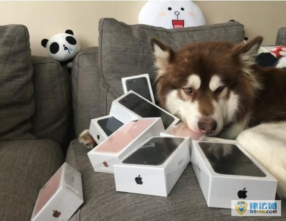 ˼ϸаȮ8̨iphone7 ѣ˲繷 (ͼ)