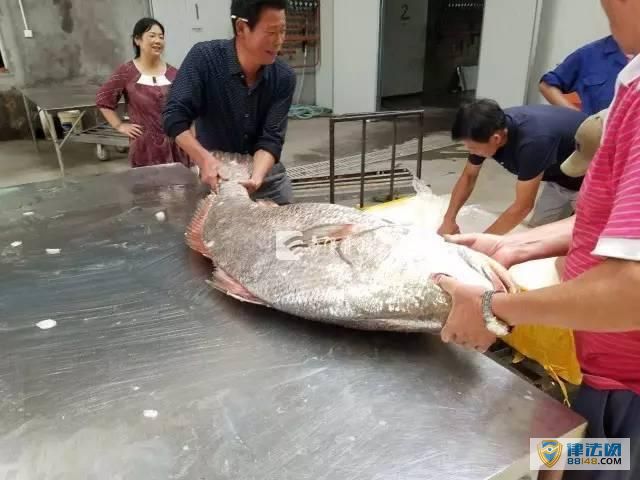 㽭񲶵ɽ㡱110 1.6۱Ȼƽ(ͼ)
