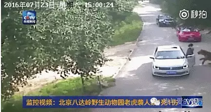 蹷ҧ30ˣ׷ɱȴ...