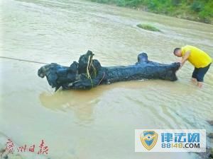 ̨纣㶫 14000ľ Դһⷢǧľ ǧľֵǮ ľôγɵ