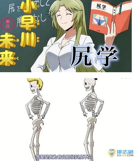 ձŮŮβˡľΪ ⶼ۾ͼ