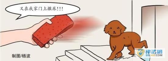 ̩ȮھӼһש Ժ˸Ҫ
