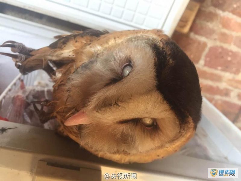 ɭֹչִж ɹչѵ 3ֻץ