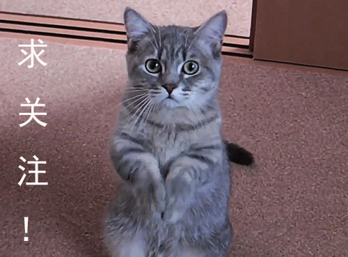˸è䣬Ϲû