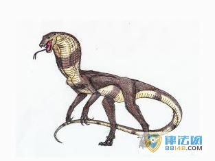 ȫʮع