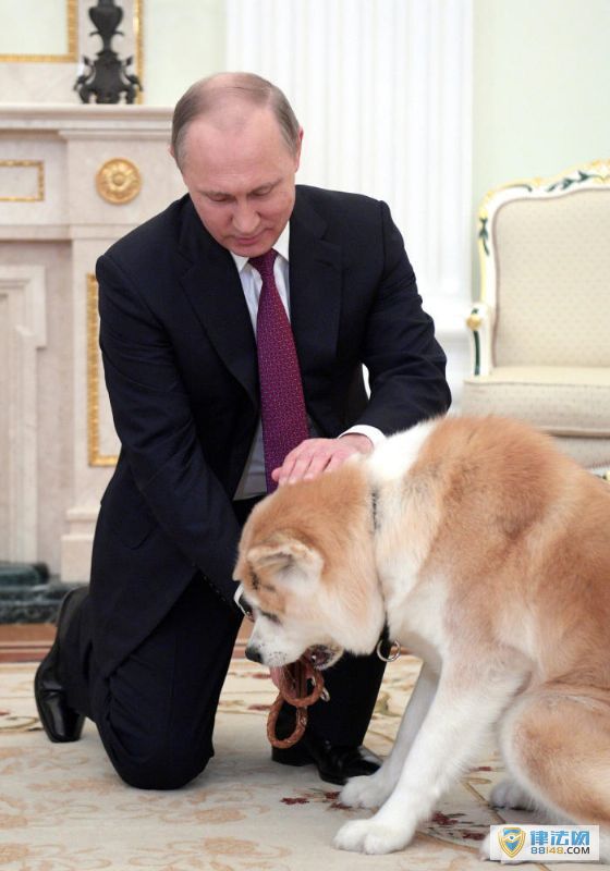 ͼվýɷǰȮˣֻȮ2012ձ͸վ վ