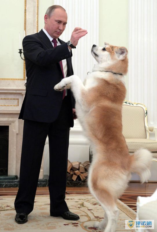 ͼվýɷǰȮˣֻȮ2012ձ͸վ վ