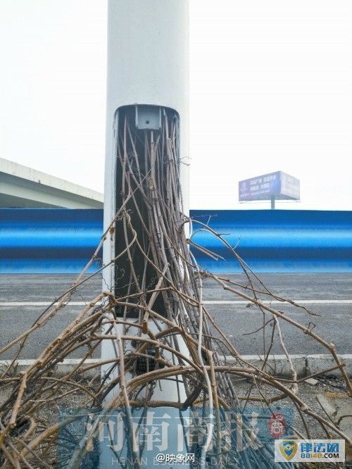 Ͷǧ·13겻 Ӧ̫ѵ 