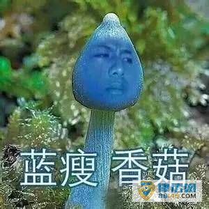 ҧĽ־繫2016ʮ ֮һԲϾͿѡ ѡ׼ʲô