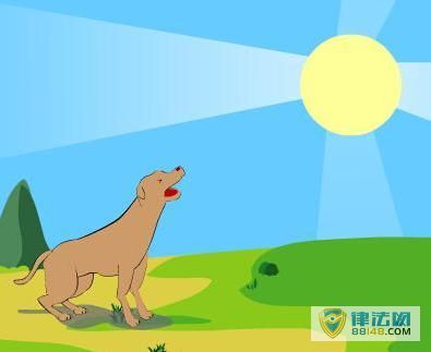 组图:今天“成都的太阳”引发热议 其实这种“蛋黄月”古已有之 还因此引伸出一句成语 组图:今天“成都的太阳”引发热议 其实这种“蛋黄月”古已有之 还因此引伸出一句成语