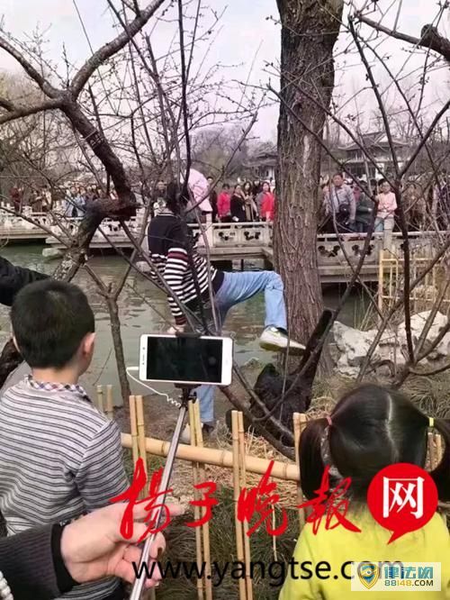쵰ȡ¼οĳѱץ 15Ŀǰھֽܵ飨ͼ