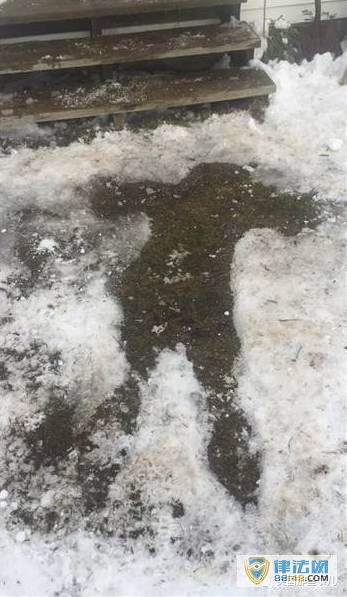 Ӻˤ̱ ſů20Сʱ