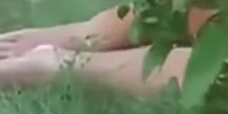 δĳССַһŮʬ ȫϴһ˫