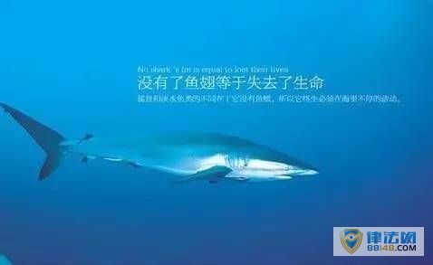 йڶ϶˹ ֻйԶ