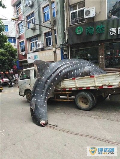 ϼصиӷ ӷǷ۱ΣҰ ȥ