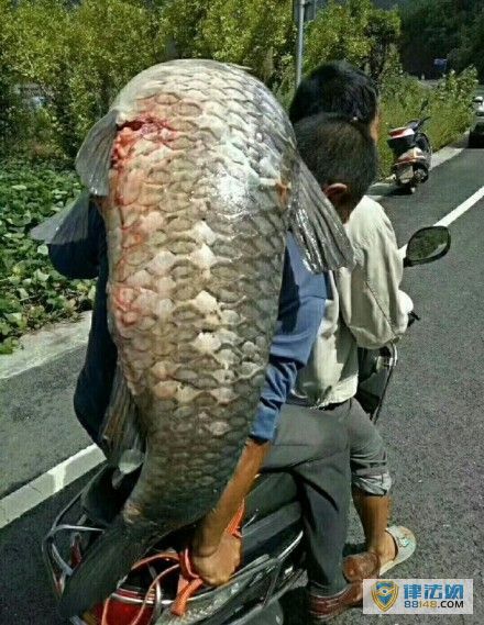  ᰸ӵվй 50㣨ͼ