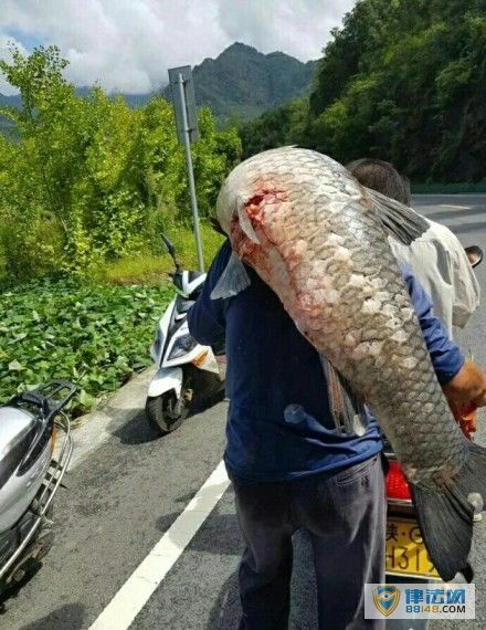  ᰸ӵվй 50㣨ͼ