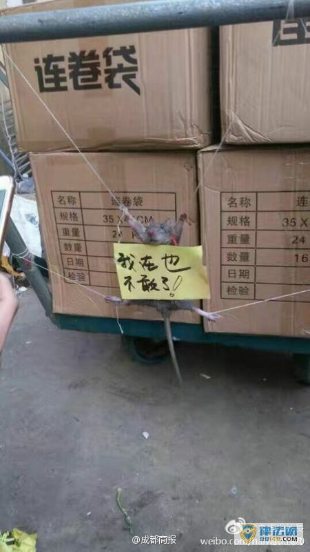 ֿⷢС󱻲廨 ǰ˻ڹ ȴä