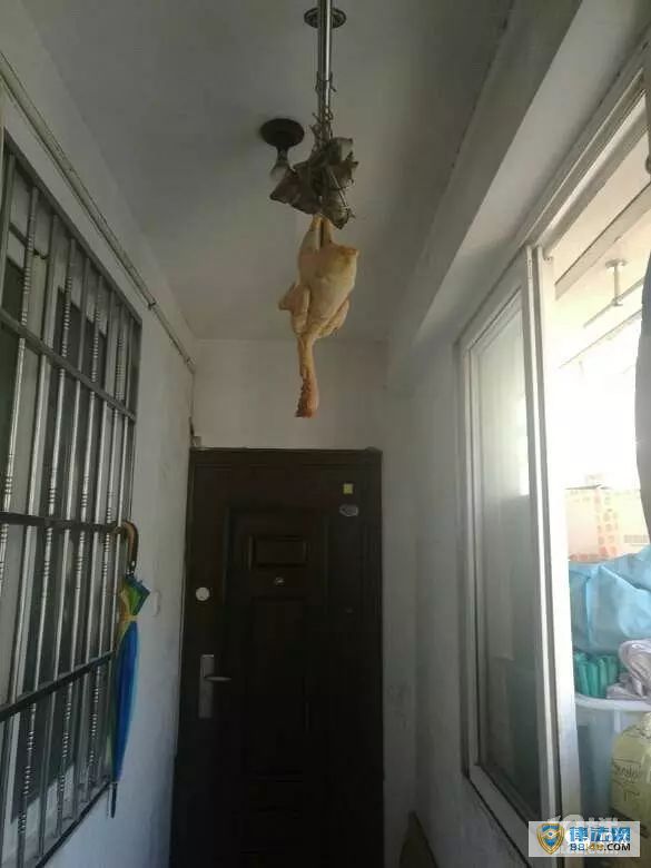 һŮӹſڱ ڴɱſɹ 󱻴׷һСʱ